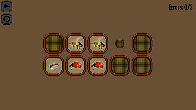 Animals Memory: Insect