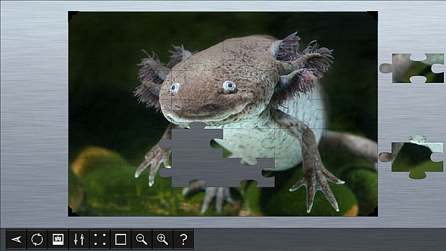 Jigsaw Puzzle World - Amphibians