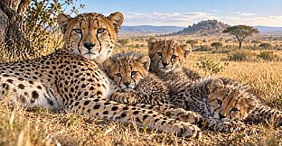 Puzzle Wild Cats