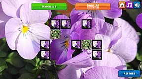 OG Memory: Spring 2K24