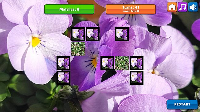 OG Memory: Spring 2K24