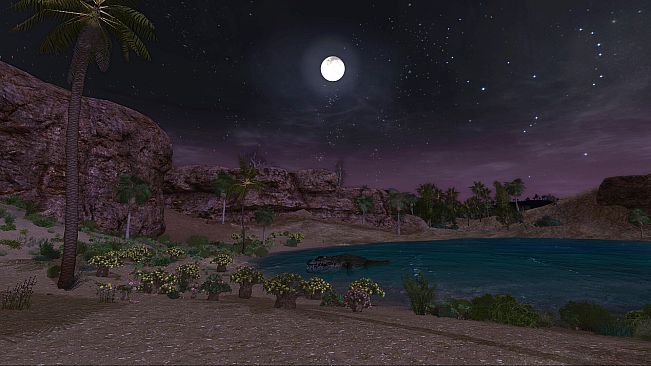 The Lord of the Rings Online