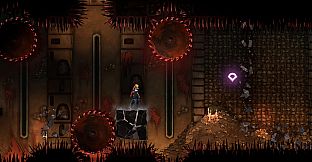 Castlevania: Belmont's Curse