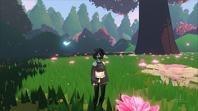 Island of Giant Trees