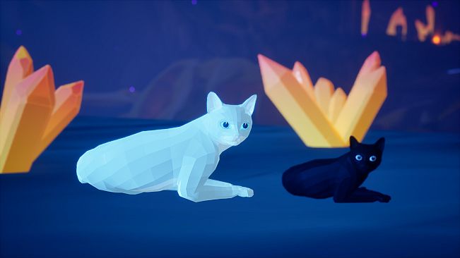 Cat Cat Meowdow