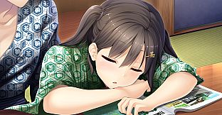 The Future Radio and the Artificial Pigeons