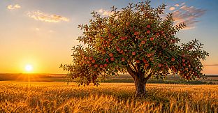 Puzzles Fruit