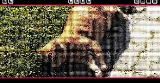 Push The Cat with WASD