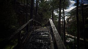 Venus in Furs: Sensual Pleasure