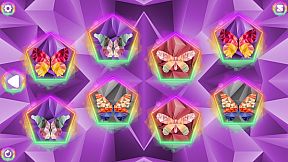 Poly Memory: Butterflies