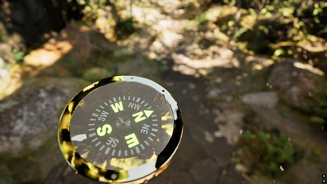 Misty Onsen - Golden Compass Supporter Pack