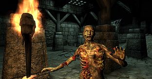 The Elder Scrolls IV: Oblivion Game of the Year Edition (PC) – 2009