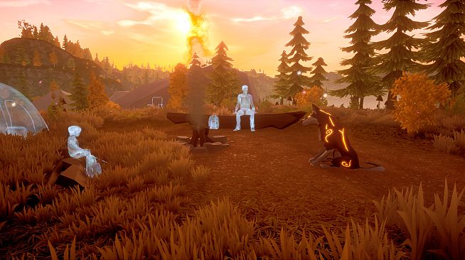 Paws and Soul: First Step