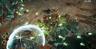 Stellar Destiny: The Last Survivor