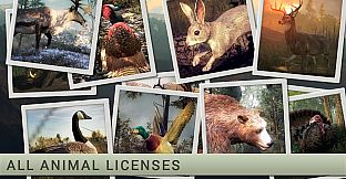 theHunter: Wayfarer Starter Pack