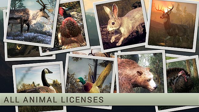 theHunter: Wayfarer Starter Pack