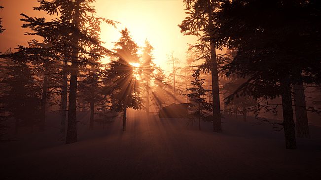 Cursed Dungeon Raider