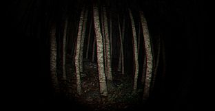 Playback Trauma: The Dog