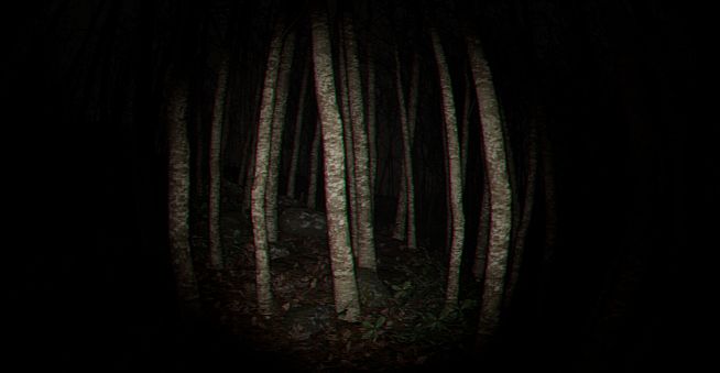 Playback Trauma: The Dog