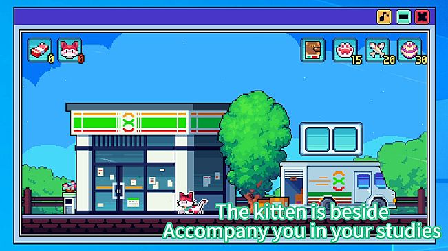 Cat Store