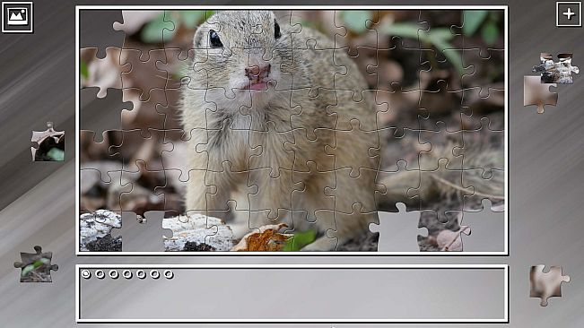 Super Jigsaw Puzzle: Generations - Rodents