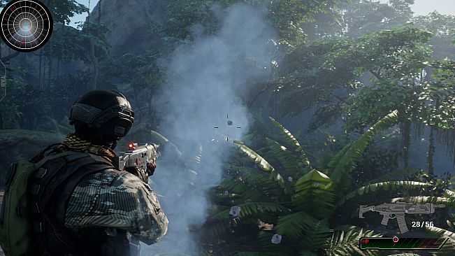 Intelligence Operation