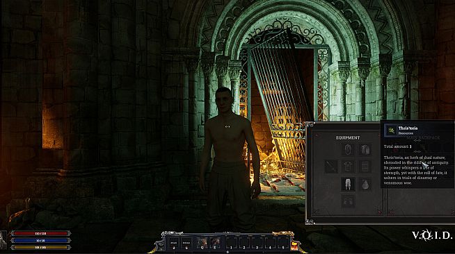 V.O.I.D. - Vexation of Infinite Dungeons