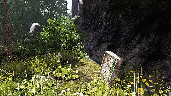 Undergrowth: VR Maze