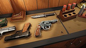 Wolf Peak: The Case of Ruth Choi