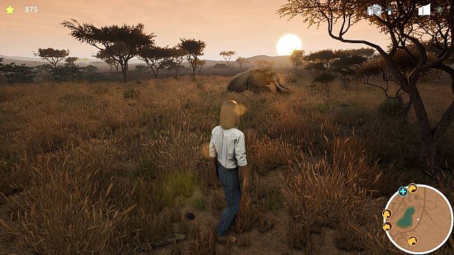 My Life: Safari Vet