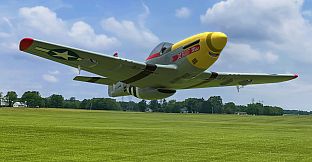 RealFlight Evolution - E-flite UMX P-51D Mustang “Detroit Miss”
