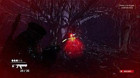 Chrono Commando 2053