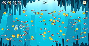 Coco's Beachquarium