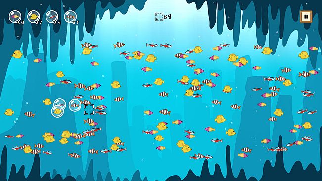 Coco's Beachquarium
