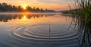 Puzzles Fishing
