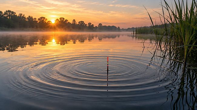 Puzzles Fishing