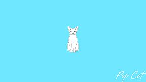 Pop Cat
