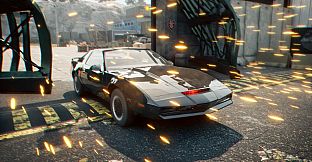 Stuntman: Hollywood
