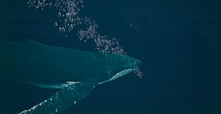 仙豆奇缘 MagicBeans