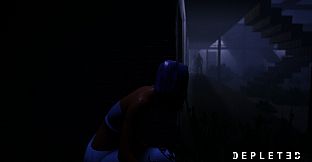 DEPLETED - Support the Developer Pack
