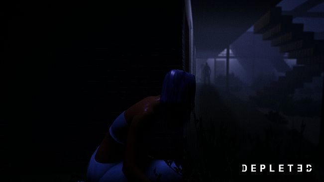 DEPLETED - Support the Developer Pack