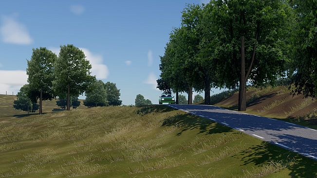Sprint Rally