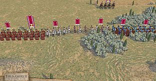 Field of Glory II: Immortal Fire