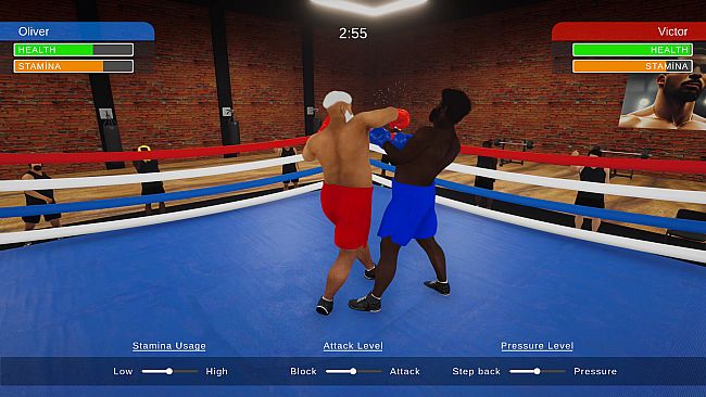 Boxing Simulator