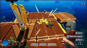 Seagulls: Crappy Situation