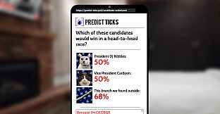 Cat President: 3rd-Rate Candidate