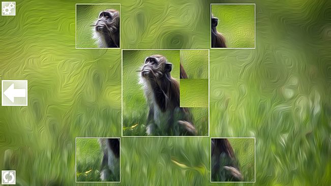 Puzzle Art: Primates
