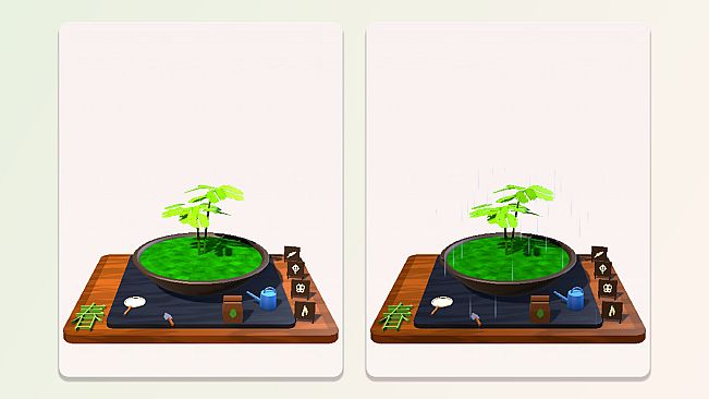Little Pot, Big Seasons