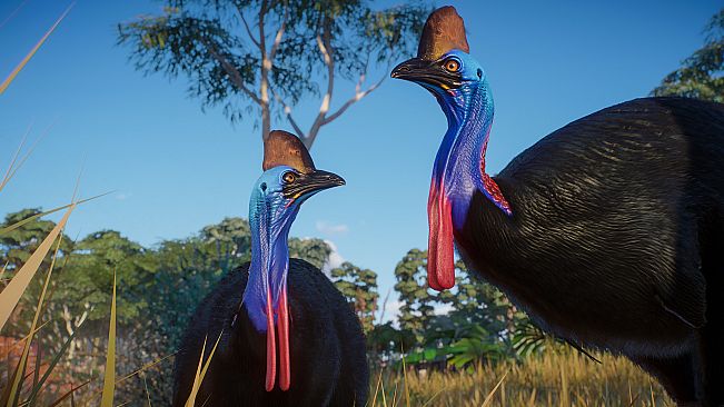 Planet Zoo: Australia Pack