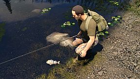Professional Fishing 2